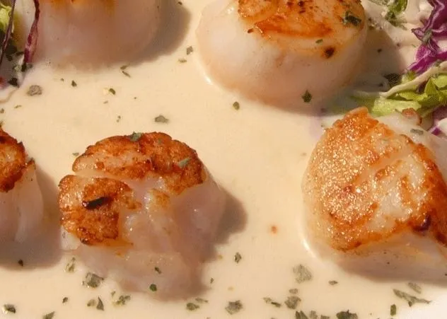 Coquilles Saint-Jacques à la crème - plat de Noël