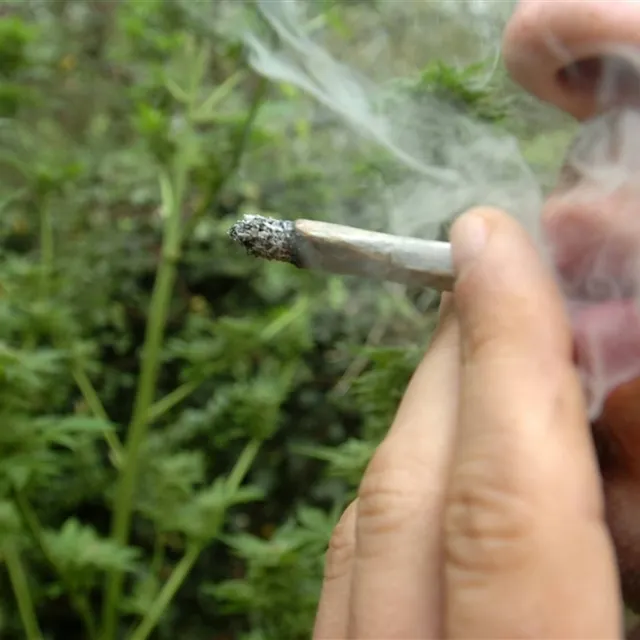 photo près de deux ados sur cinq âgés de 15 à 16 ans déclaraient en 2011 avoir déjà fumé du cannabis. &copy; photo archives co - laurent combet