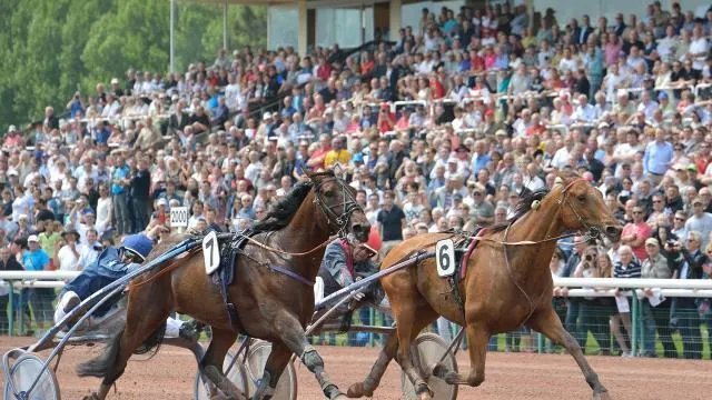 Hippisme. Amiral Sacha , le Duc de Normandie vise l ...