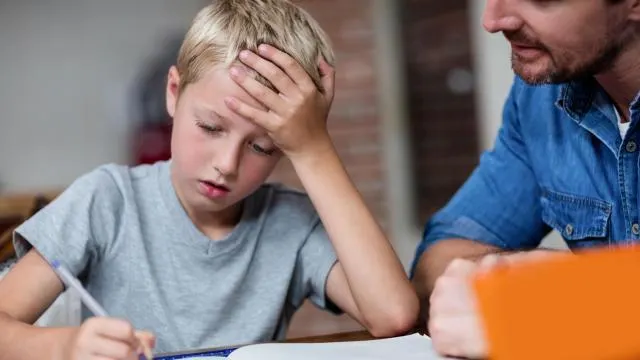 La Roche Sur Yon Ecoles L Aide Aux Devoirs Est Desormais Gratuite La Roche Sur Yon Maville Com
