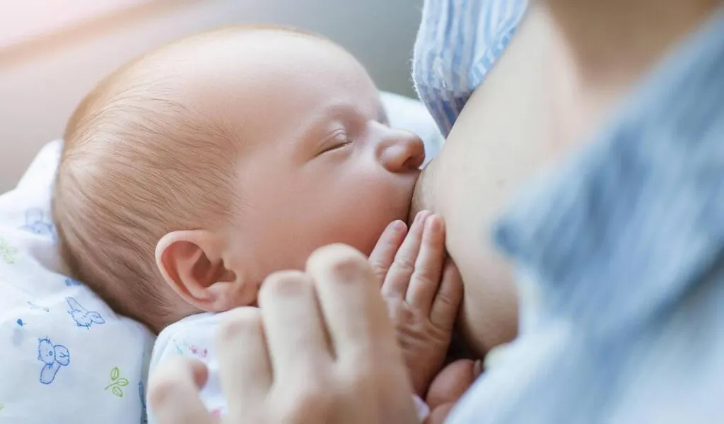 Livret A Assurance Vie Quel Produit D Epargne Est Le Plus Judicieux Pour Un Nouveau Ne La Roche Sur Yon Maville Com