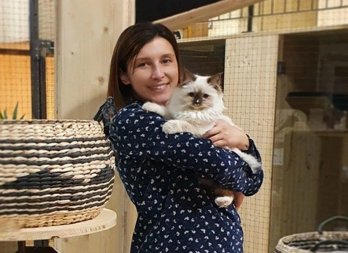 Vertou Un Hotel Reserve Aux Chats Nantes Maville Com