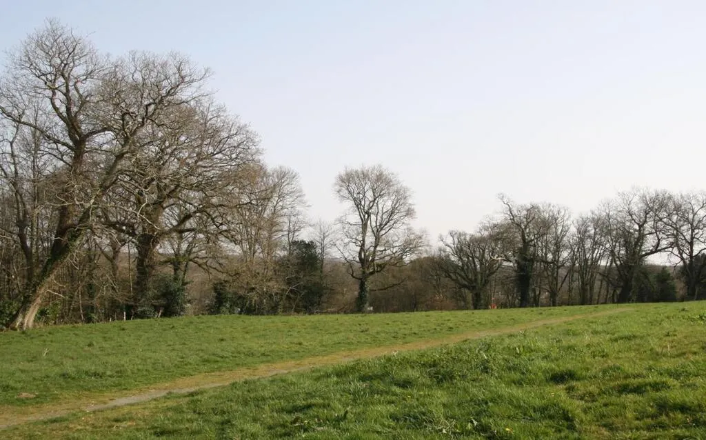 Guenrouet Un Bebe Un Arbre Tout Un Symbole Redon Maville Com