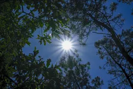 photo  les températures vont dépasser les 20 °c dans plusieurs régions, ce mercredi 25 février 2026. photo d’illustration. 